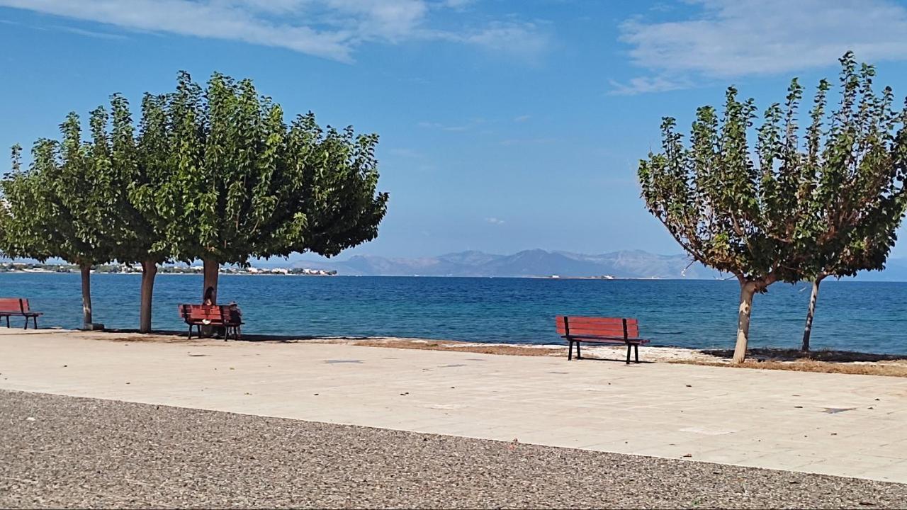 Beautiful Choice - Near Athens Airport - 50M From The Sea - Iq+ Διαμέρισμα Αρτέμιδα Εξωτερικό φωτογραφία