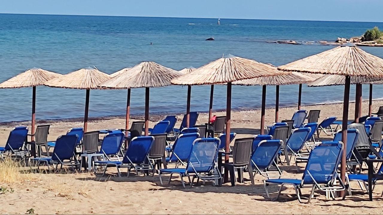 Beautiful Choice - Near Athens Airport - 50M From The Sea - Iq+ Διαμέρισμα Αρτέμιδα Εξωτερικό φωτογραφία